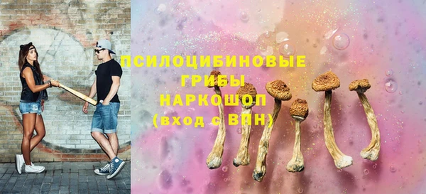 таблы Богданович