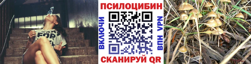 Галлюциногенные грибы Magic Shrooms  Купить закладки  Озёрск 
